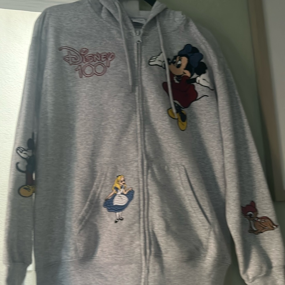Disney 100 year zip up hoodie
